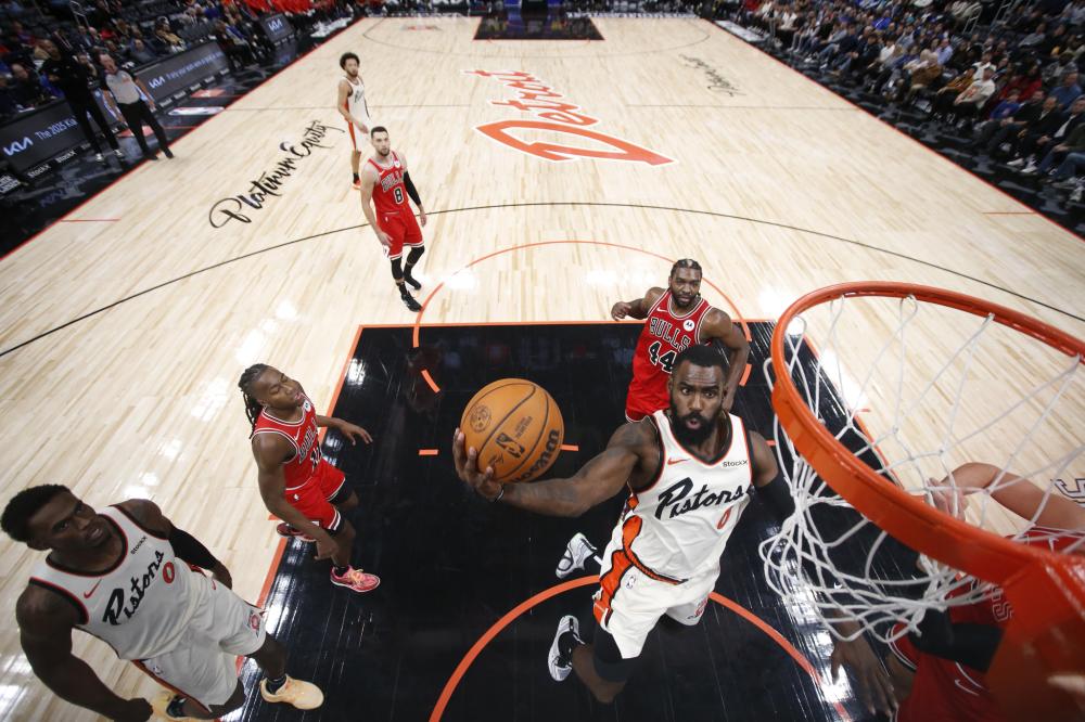 鹿选中后继 鹿选中后继